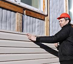 Best Storm Damage Siding Repair  in Obion, TN